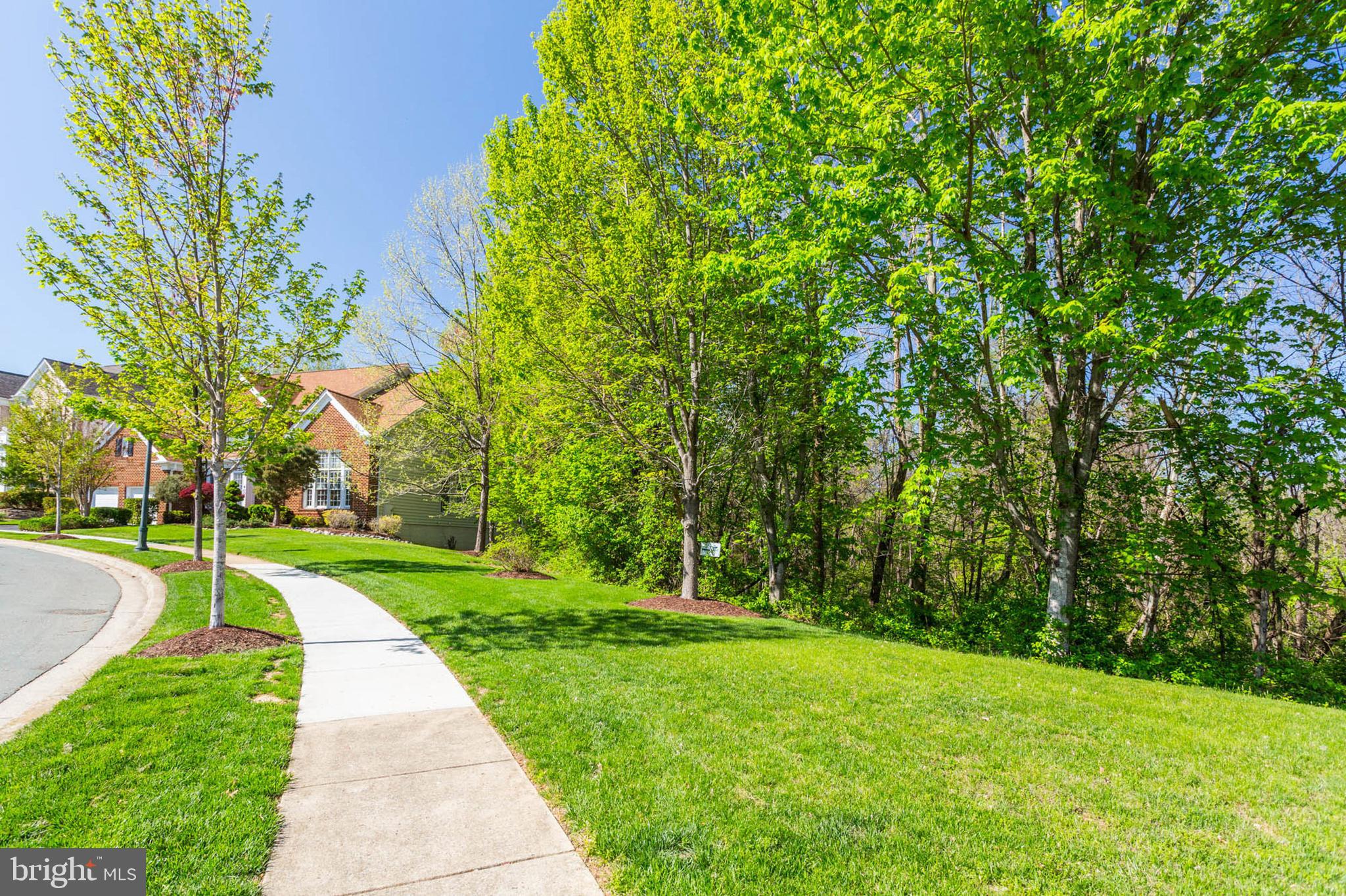 400 LONG TRAIL TERRACE