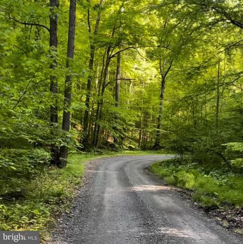 3 HARDSCRABBLE ROAD A LINDEN VA 22642