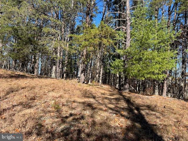 MALLARD CREEK - Land