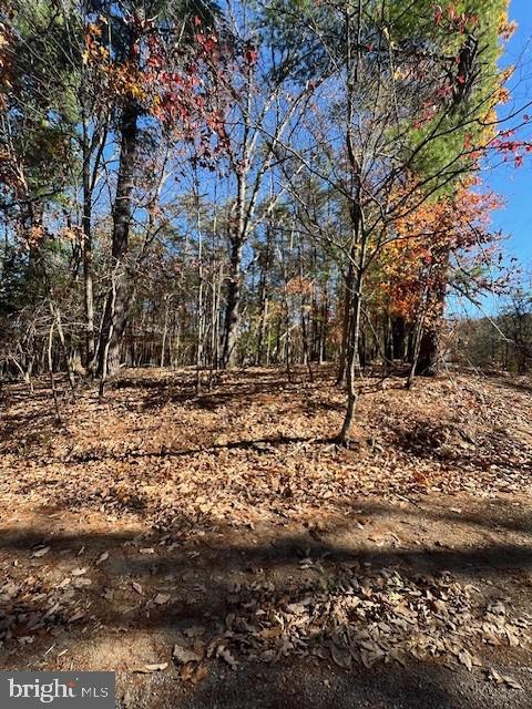 MALLARD CREEK - Land