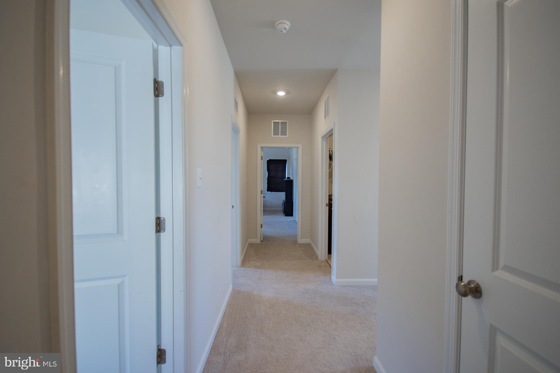 NORBORNE GLEBE - Residential