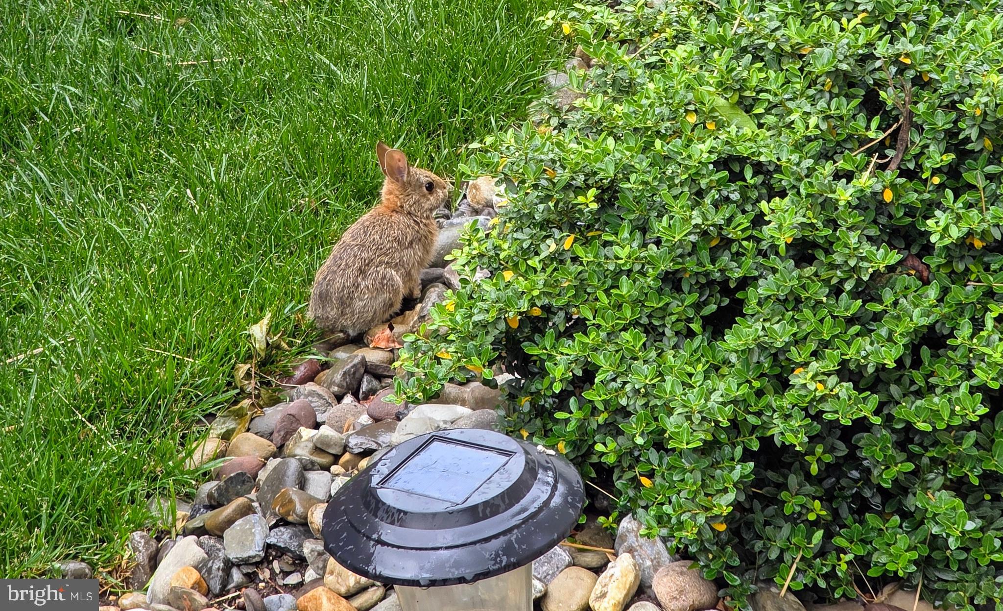 NEELD ESTATE - Residential