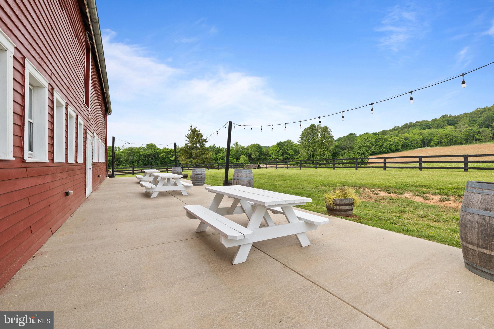 CULPEPER COUNTY - Farm