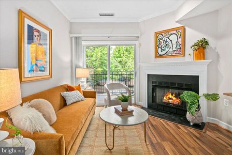 Photo of 2330 14th Street N #207, ARLINGTON, VA 22201 (MLS # VAAR2072598)