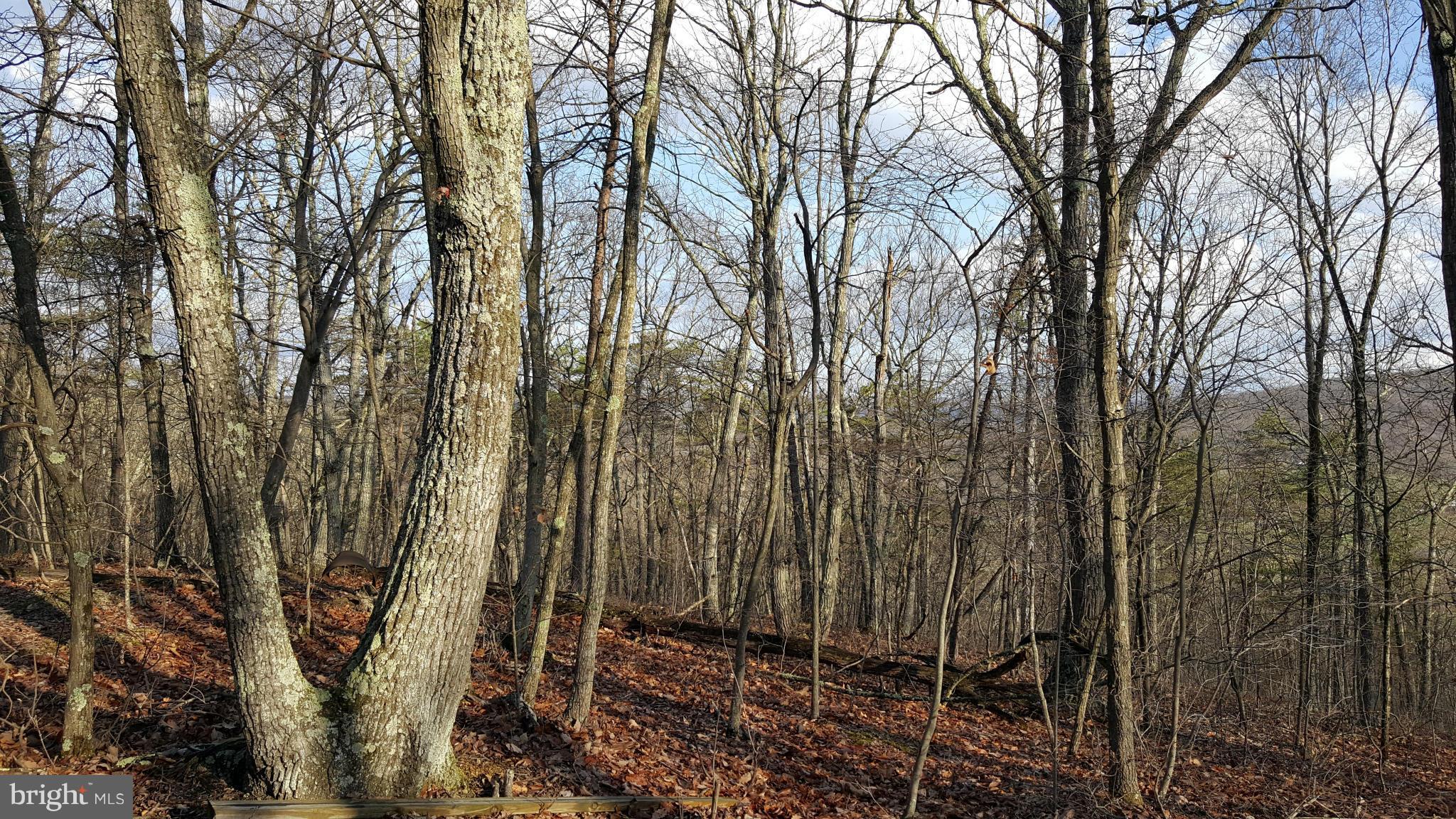 NONE AVAILABLE - Land