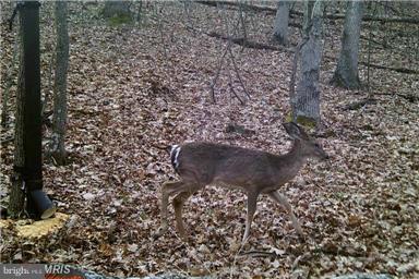 NONE AVAILABLE - Land