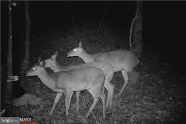 NONE AVAILABLE - Land