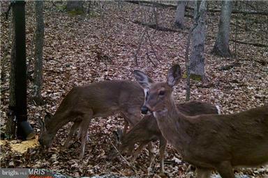 NONE AVAILABLE - Land