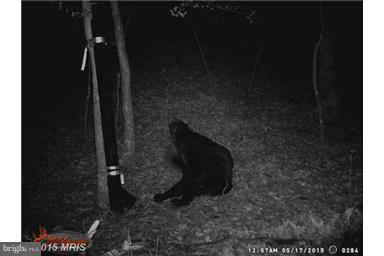 NONE AVAILABLE - Land