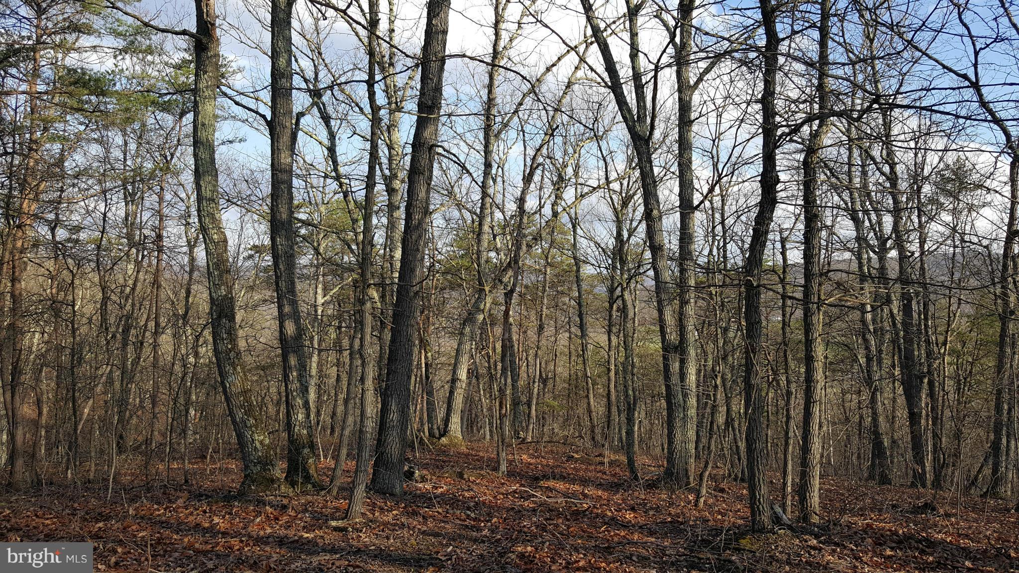 NONE AVAILABLE - Land