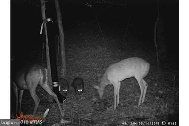 NONE AVAILABLE - Land