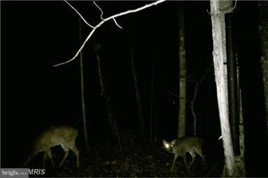 NONE AVAILABLE - Land