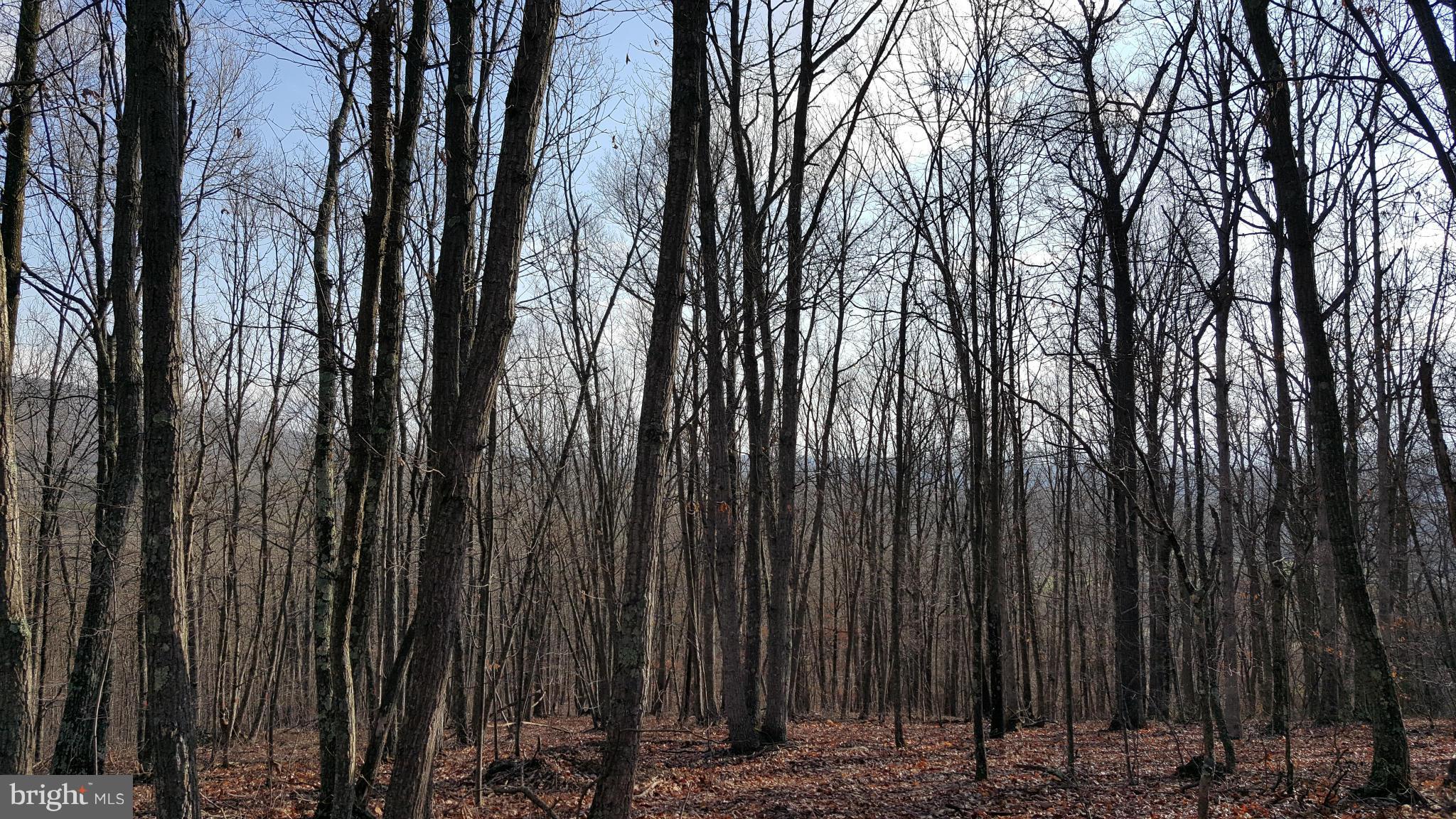 NONE AVAILABLE - Land