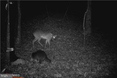 NONE AVAILABLE - Land