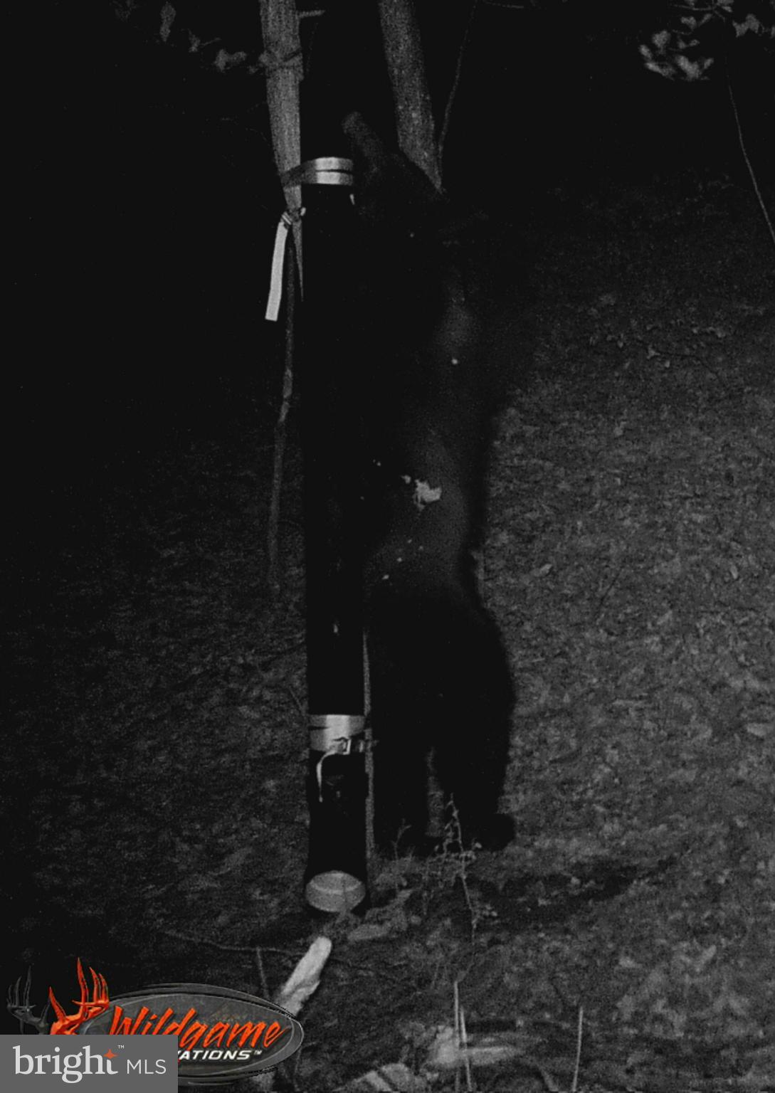 NONE AVAILABLE - Land