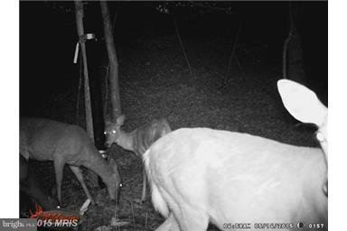 NONE AVAILABLE - Land