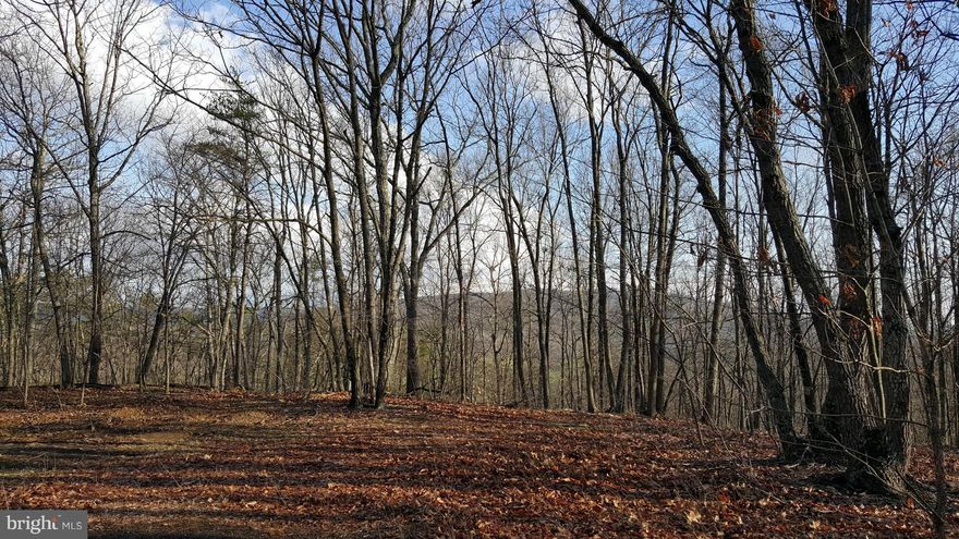 Great price on 2 wooded parcels with over 36 ACRES great for hunting, hiking and perc has been approved for your dream home--Land is registered in the Maryland Stewardship Program. Take advantage of your own personal get away and enjoy natural and all its splendor at a price that's set to sell-- Includes parcel 0116016179 and 0102014742