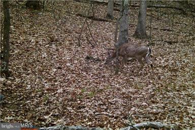 NONE AVAILABLE - Land