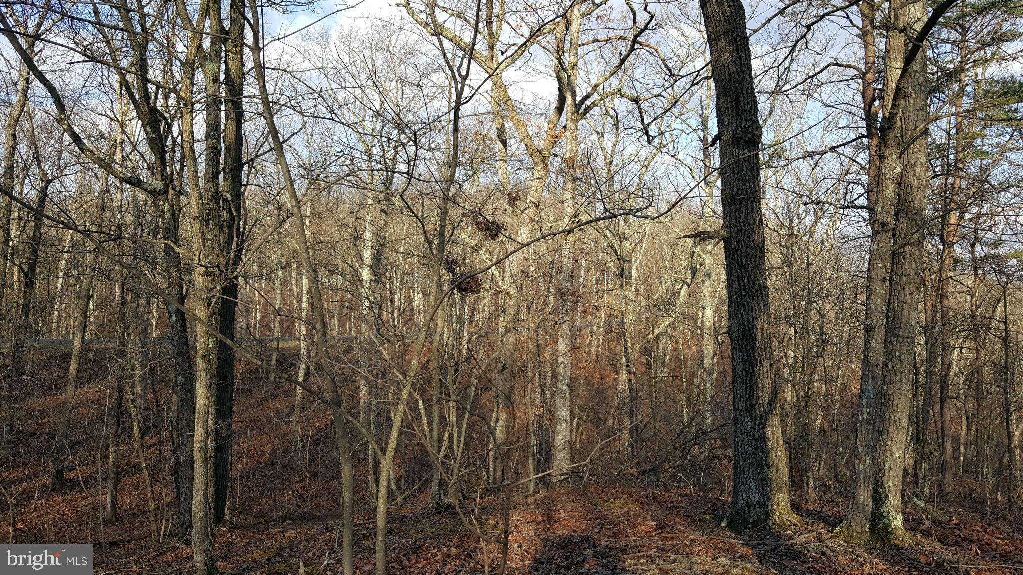 NONE AVAILABLE - Land