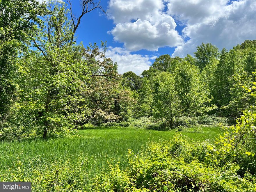 Don't miss your chance to see this beautiful wooded parcel with rolling hills along the scenic Washington Rochambeau Route on Old Colchester Road.  This property is surrounded by a variety of desirable historic and recreational attractions such as Mason Neck State Park & National Wildlife Refuge, Gunston Hall (home of George Mason IV), Pohick Bay Regional Park & Golf Course, the Potomac Shoreline Regional Park, Fort Belvoir Army Base & renowned Fort Belvoir Community Hospital, the Potomac River, The Stables at Meadowood, Tamarack Stables, and miles of hiking trails! This one tax record encompasses two separated tracts of land, the Lower Tract is 11.8326 acres and the Upper Tract is 13.9801 acres; combined they total the 25.8127 acres reflected in the Tax Record.  The Lower Tract is resource protected with fiber optic cable for Ft Belvoir.  The Upper Tract is the focal point for development with the potential for up to 6 lots By Right. This location has so much to offer for a new subdivision  DO NOT WALK PROPERTY WITHOUT PERMISSION AND WITHOUT BEING ACCOMPANIED BY LISTING AGENT.