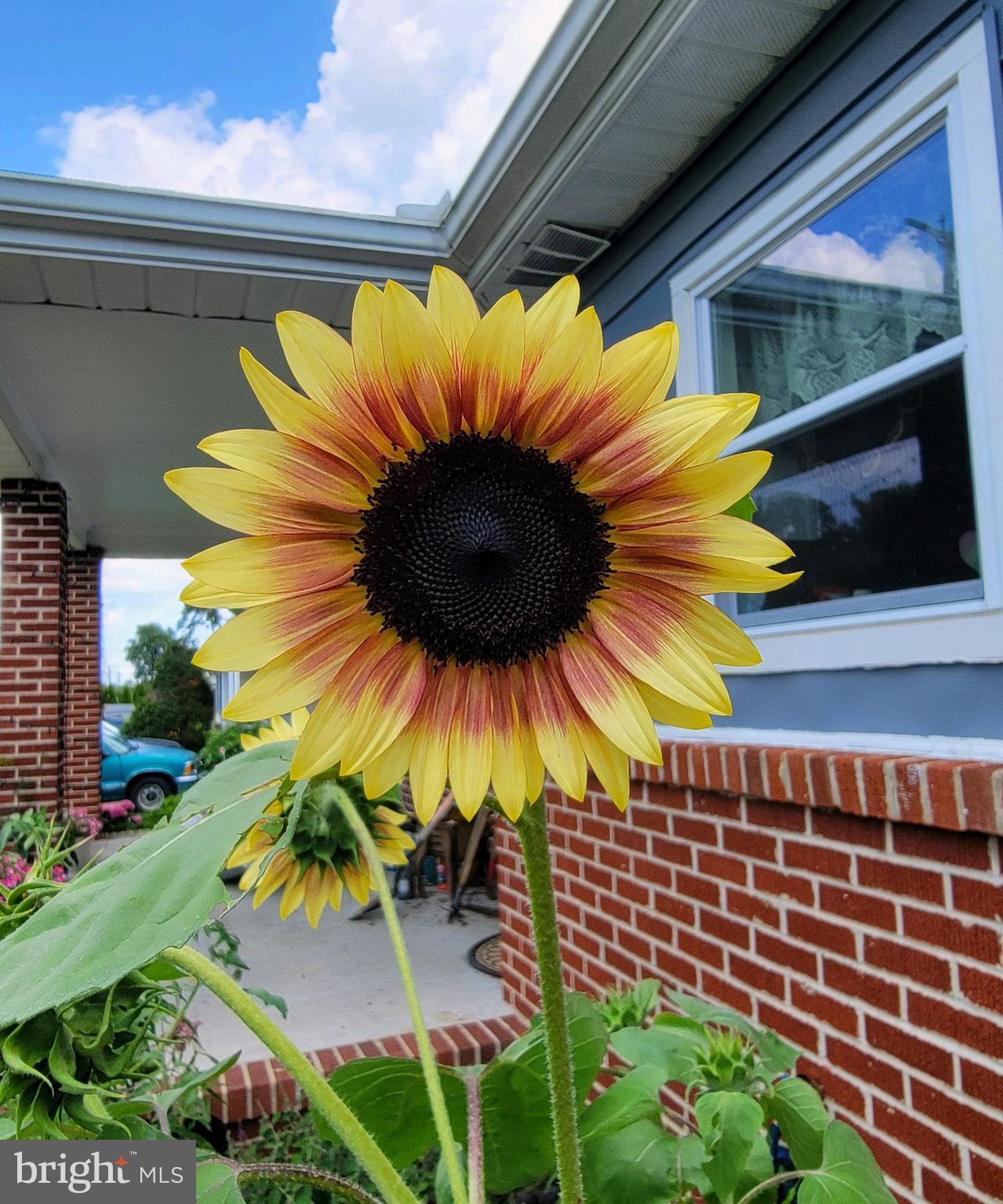 ODENTON HEIGHTS - Residential