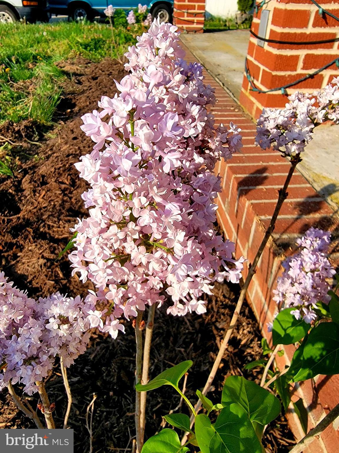 ODENTON HEIGHTS - Residential