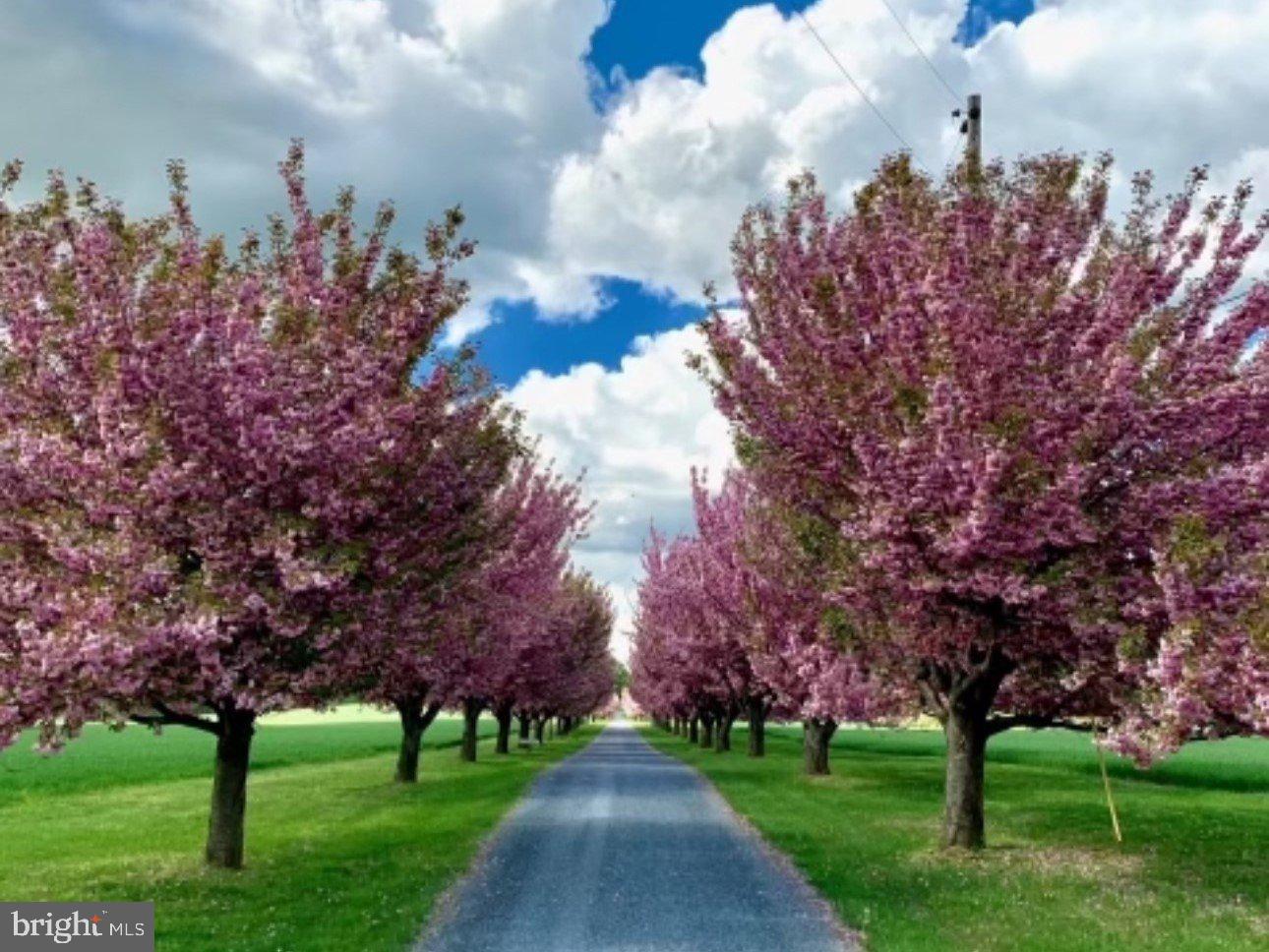 POOLESVILLE OUTSIDE - Farm