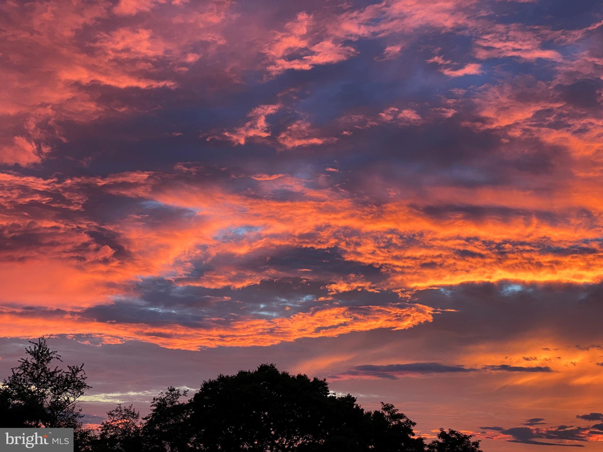 POOLESVILLE OUTSIDE - Farm