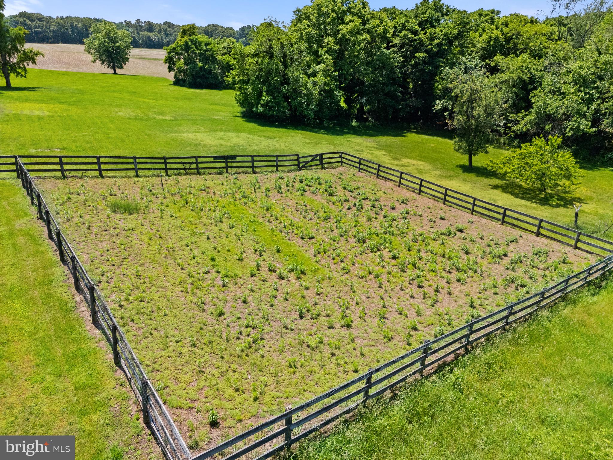 POOLESVILLE OUTSIDE - Farm