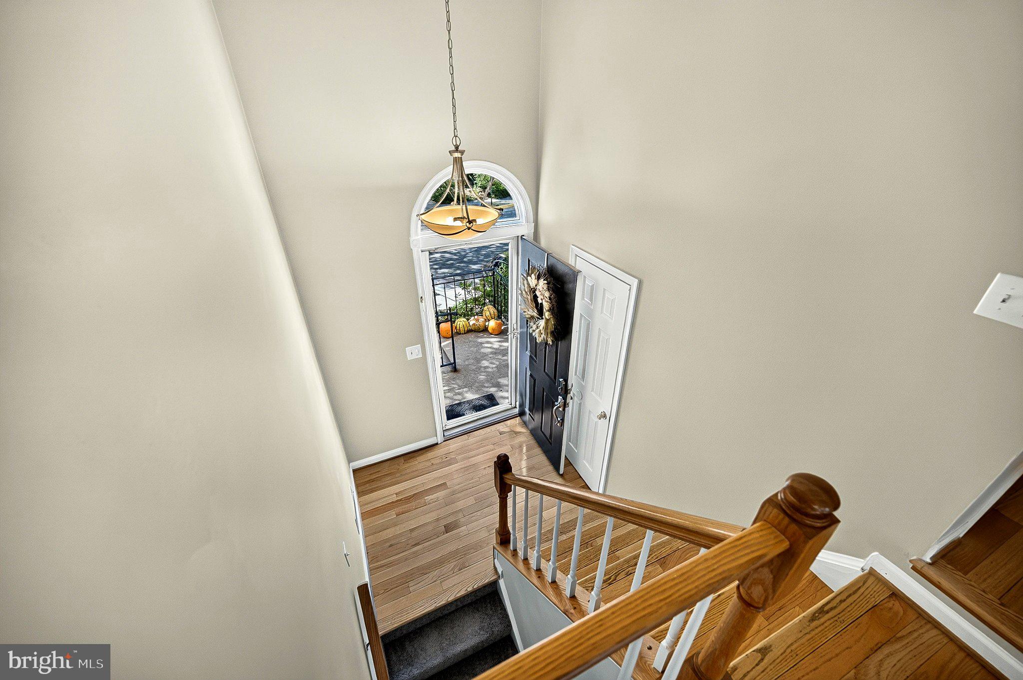 8006 TREVOR PLACE