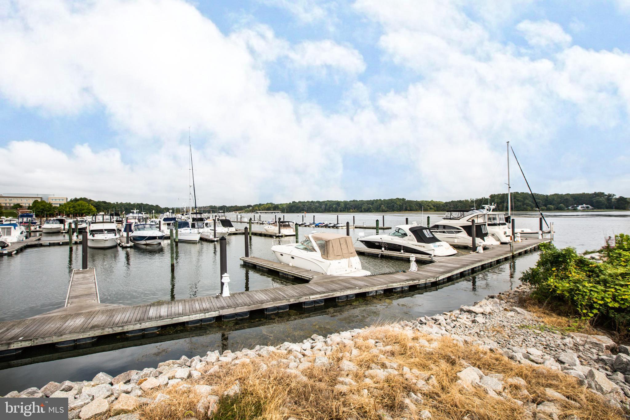 BELMONT TOWN CENTER - Residential Lease