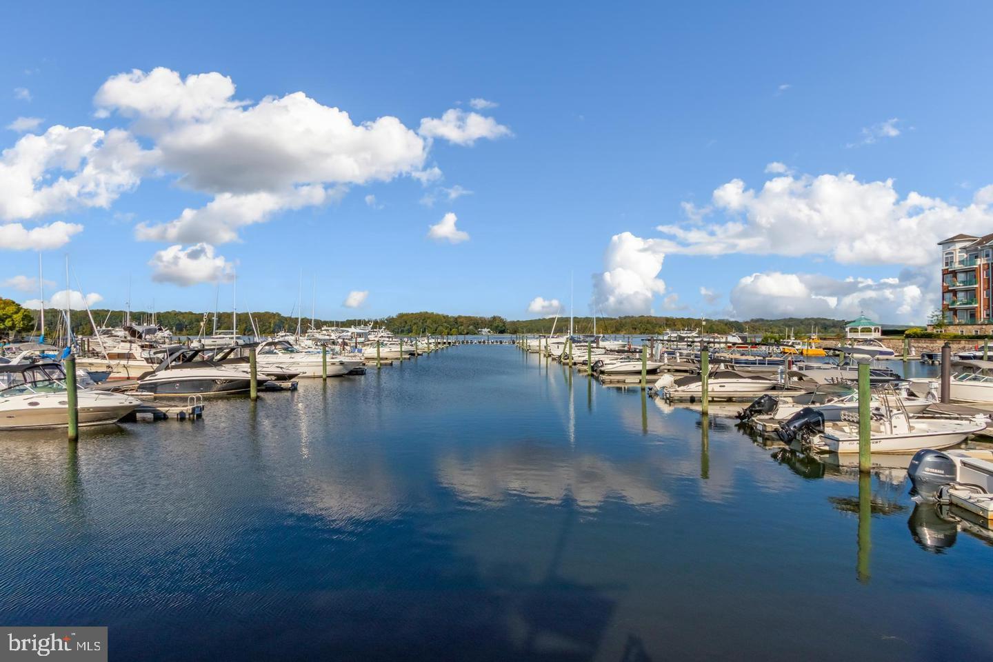 BELMONT TOWN CENTER - Residential Lease