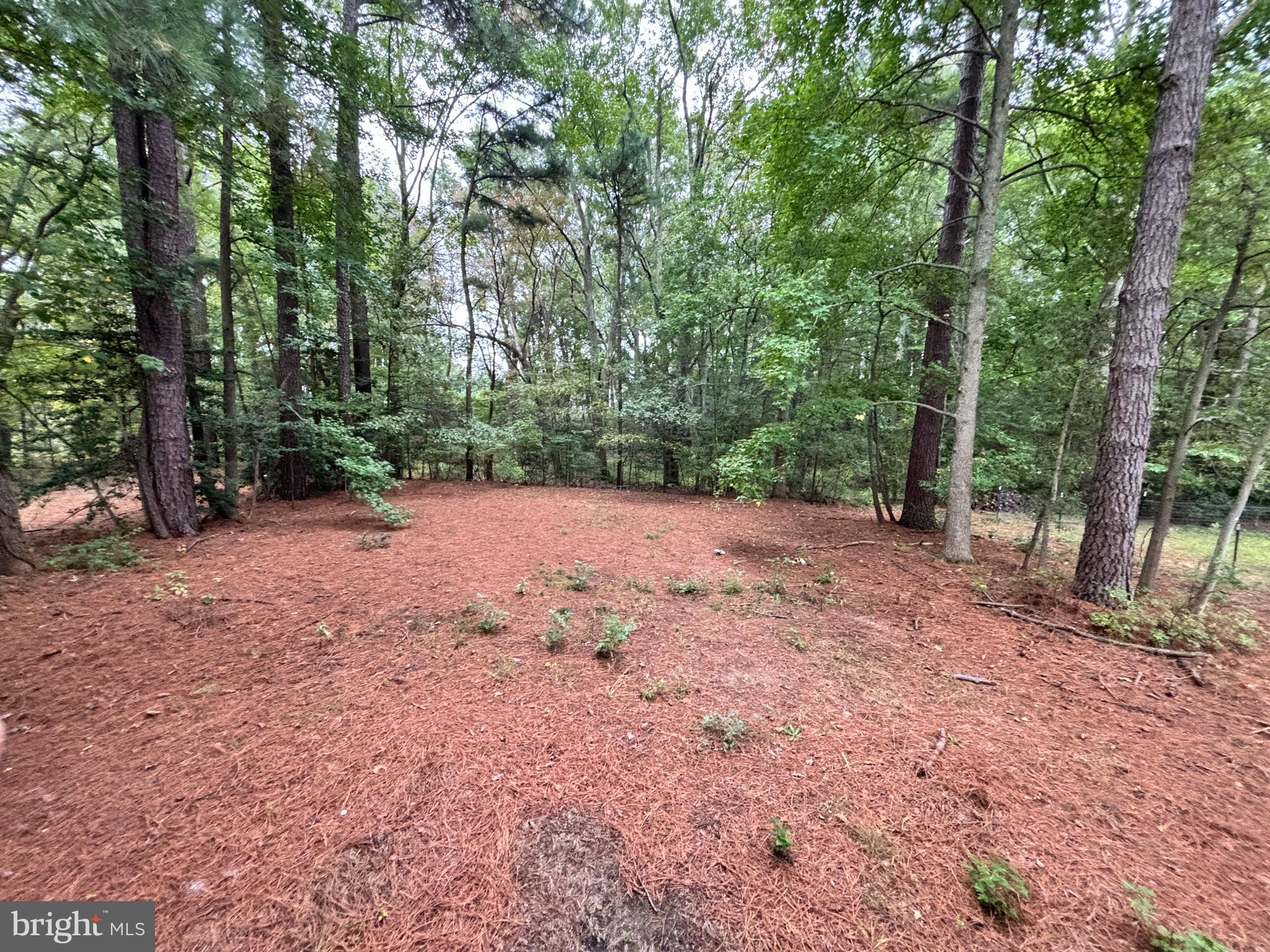 GLEBE HARBOR - Residential