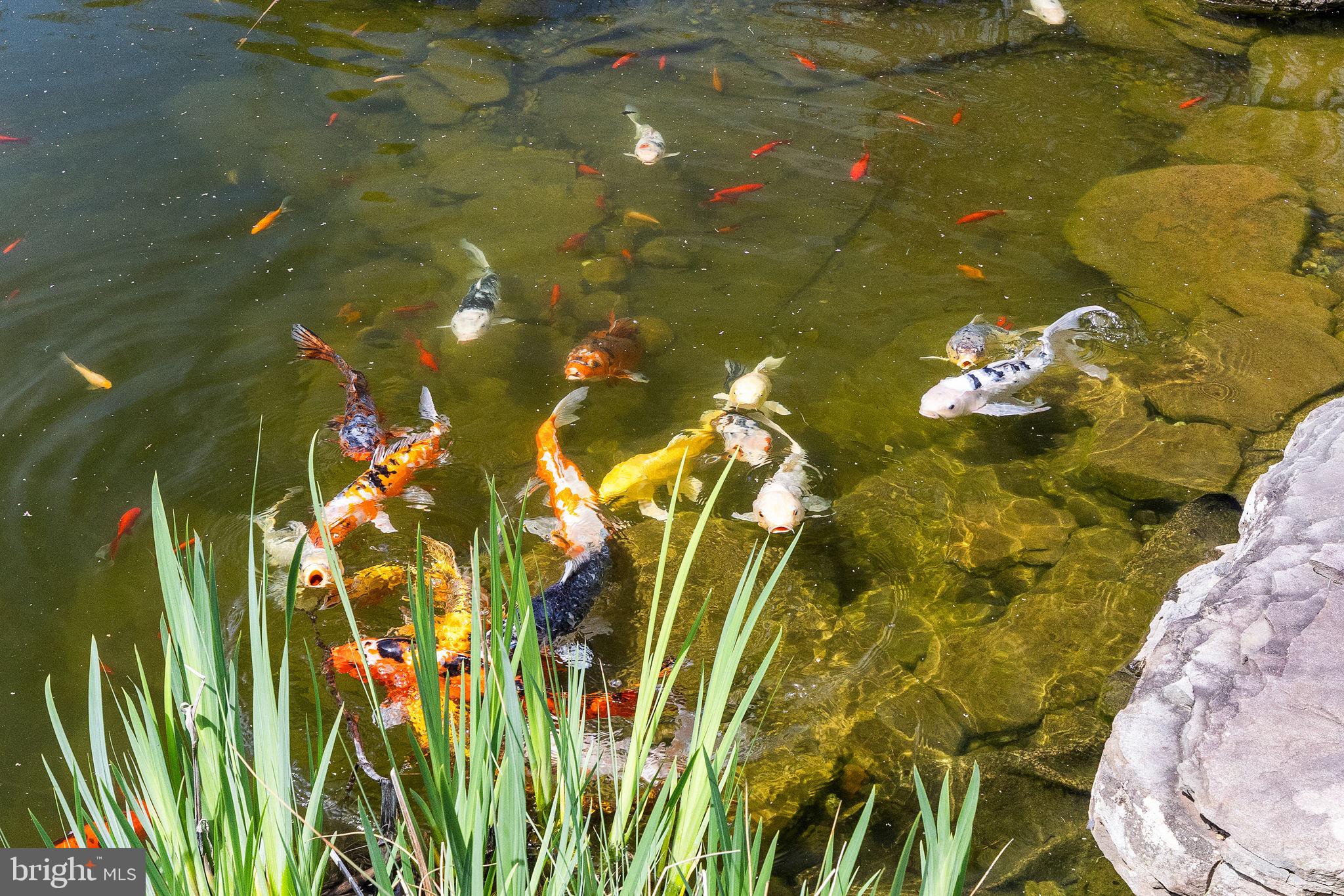 NON AVAILABLE - Residential