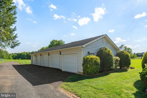 listing image 64