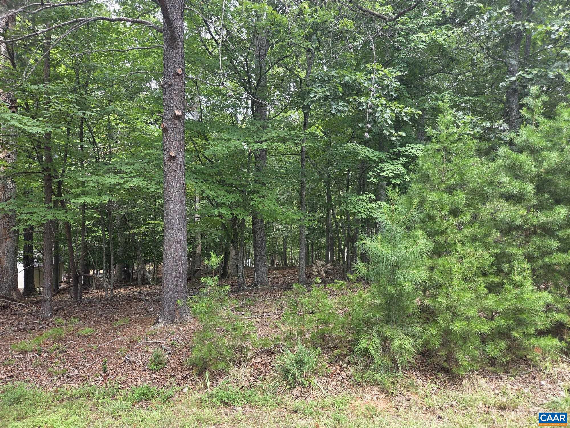 LAKE MONTICELLO - Land