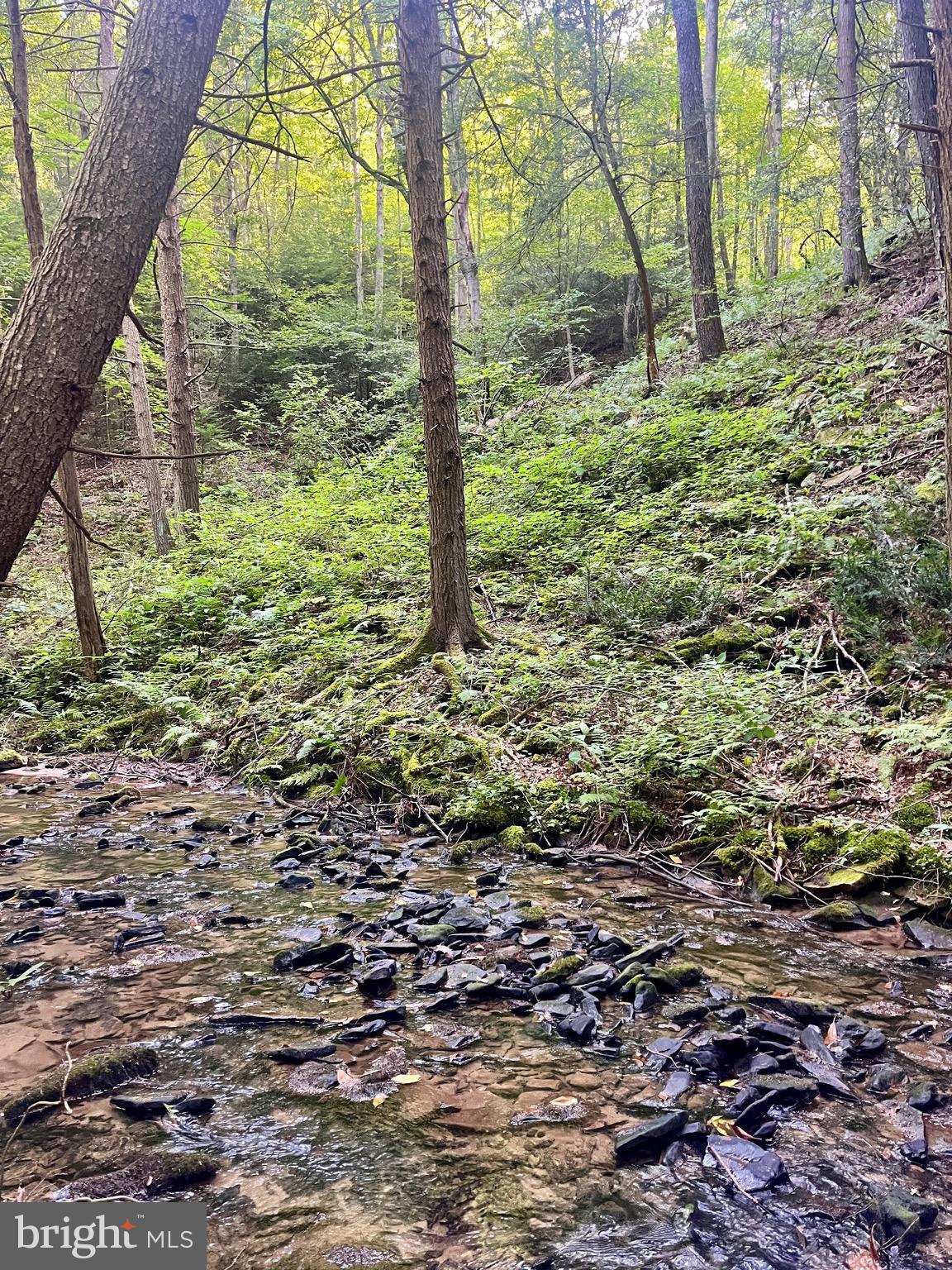 27 BEECH CREEK MOUNTAIN ROAD