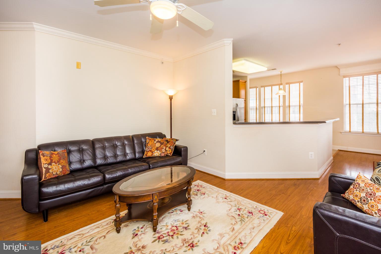 VILLAGE OF RIVER HILL - Residential