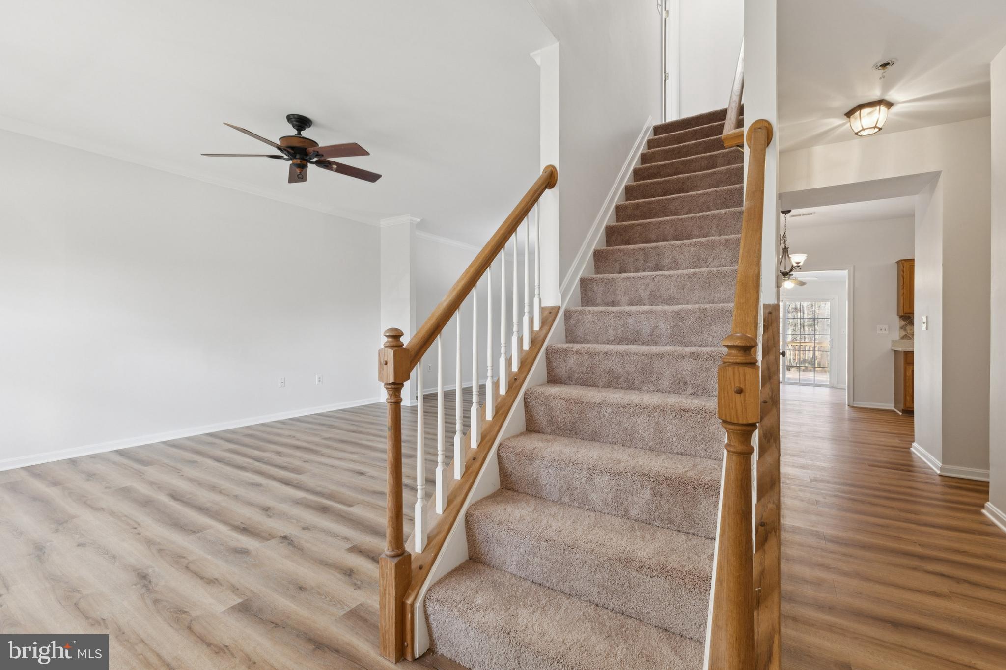 3801 MOLLY MILLER COURT