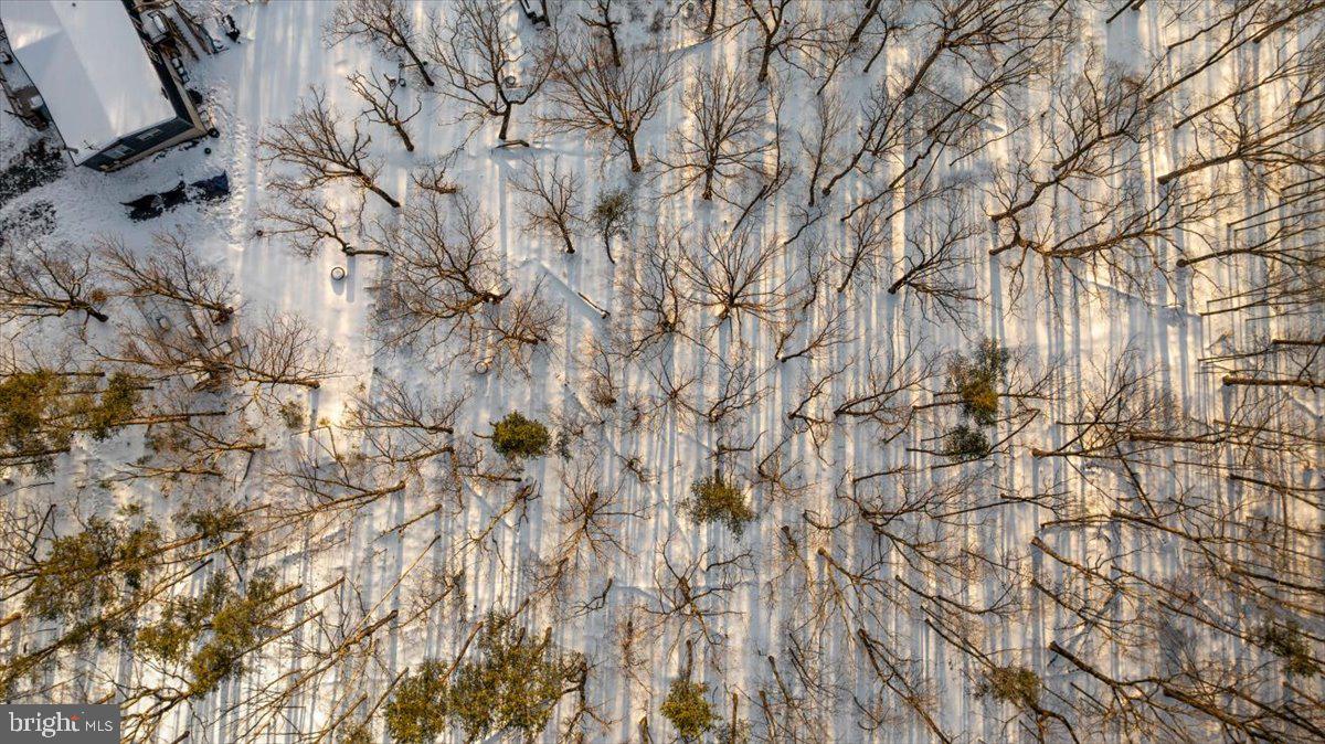 TIMBER RIDGE - Residential