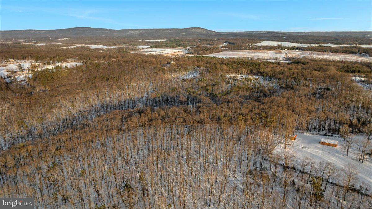 TIMBER RIDGE - Residential