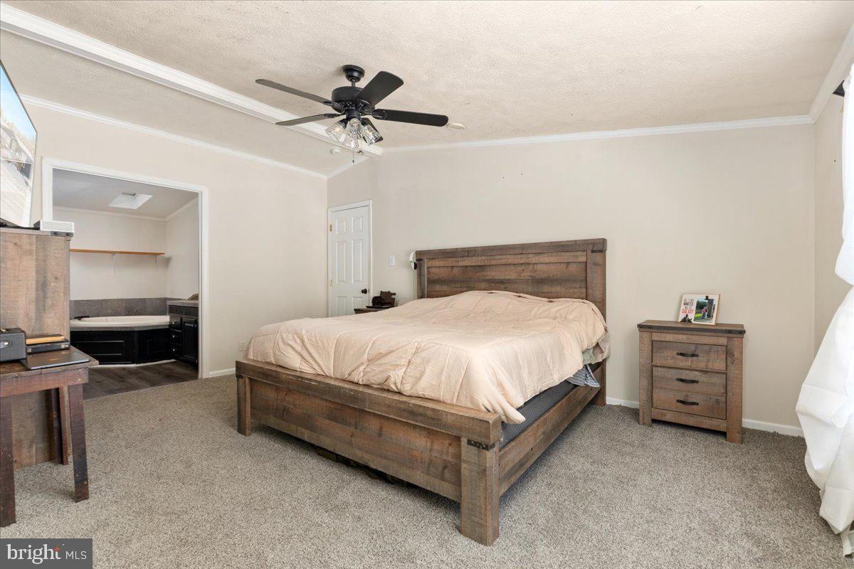 TIMBER RIDGE - Residential