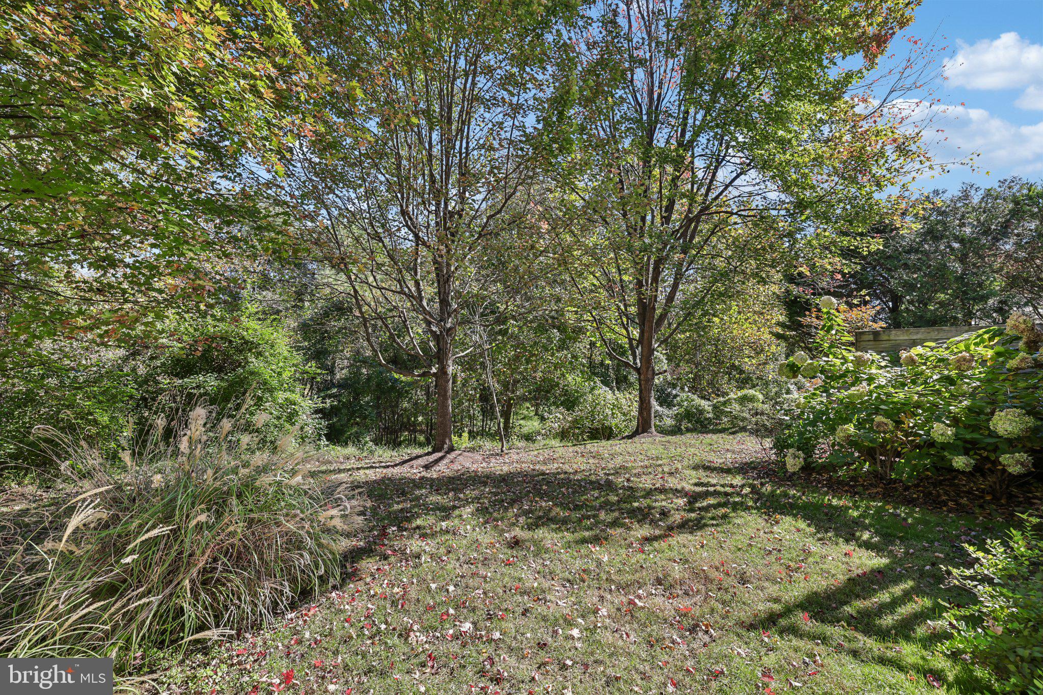 7235 PEBBLE CREEK DRIVE 2