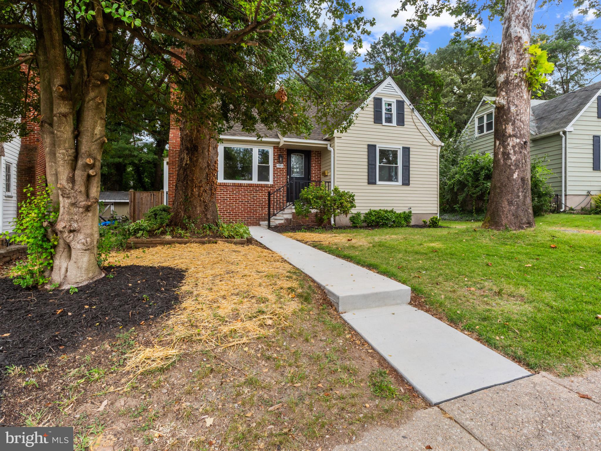 203 WILLOW LANE