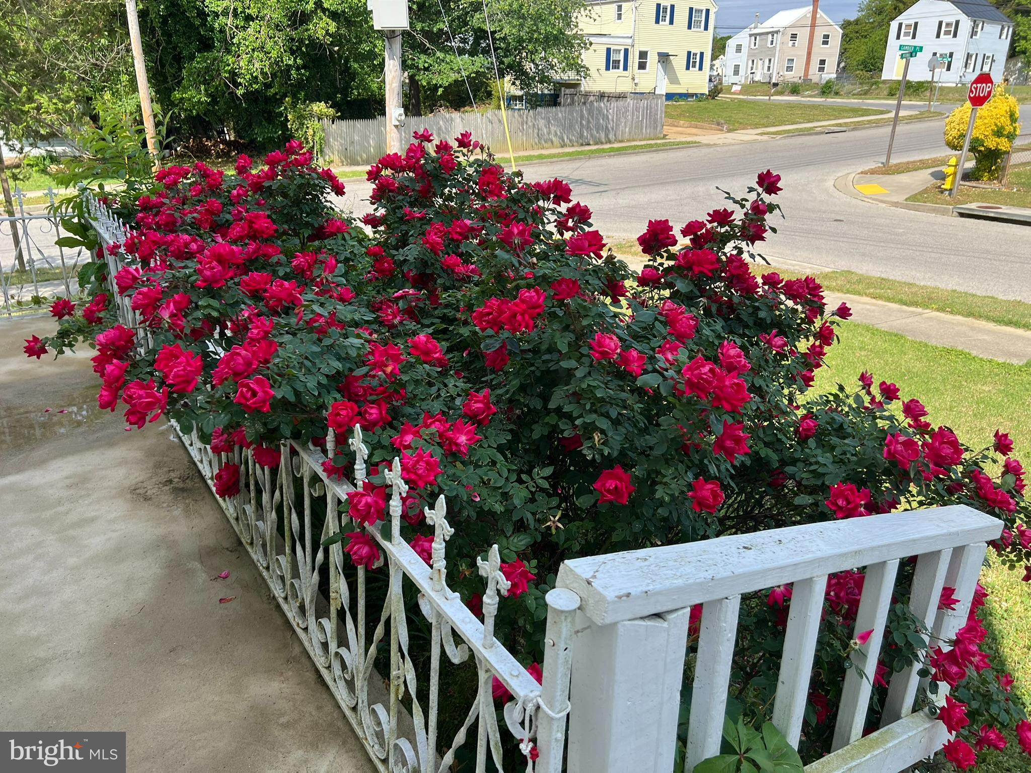 PATUXENT PARK - Residential