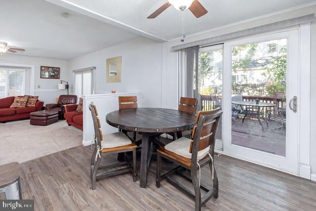 433 OLD ERIAL ROAD