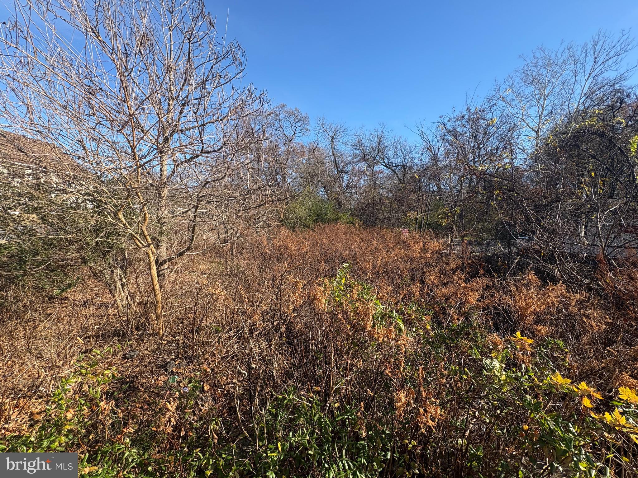 7327 E FURNACE BRANCH ROAD