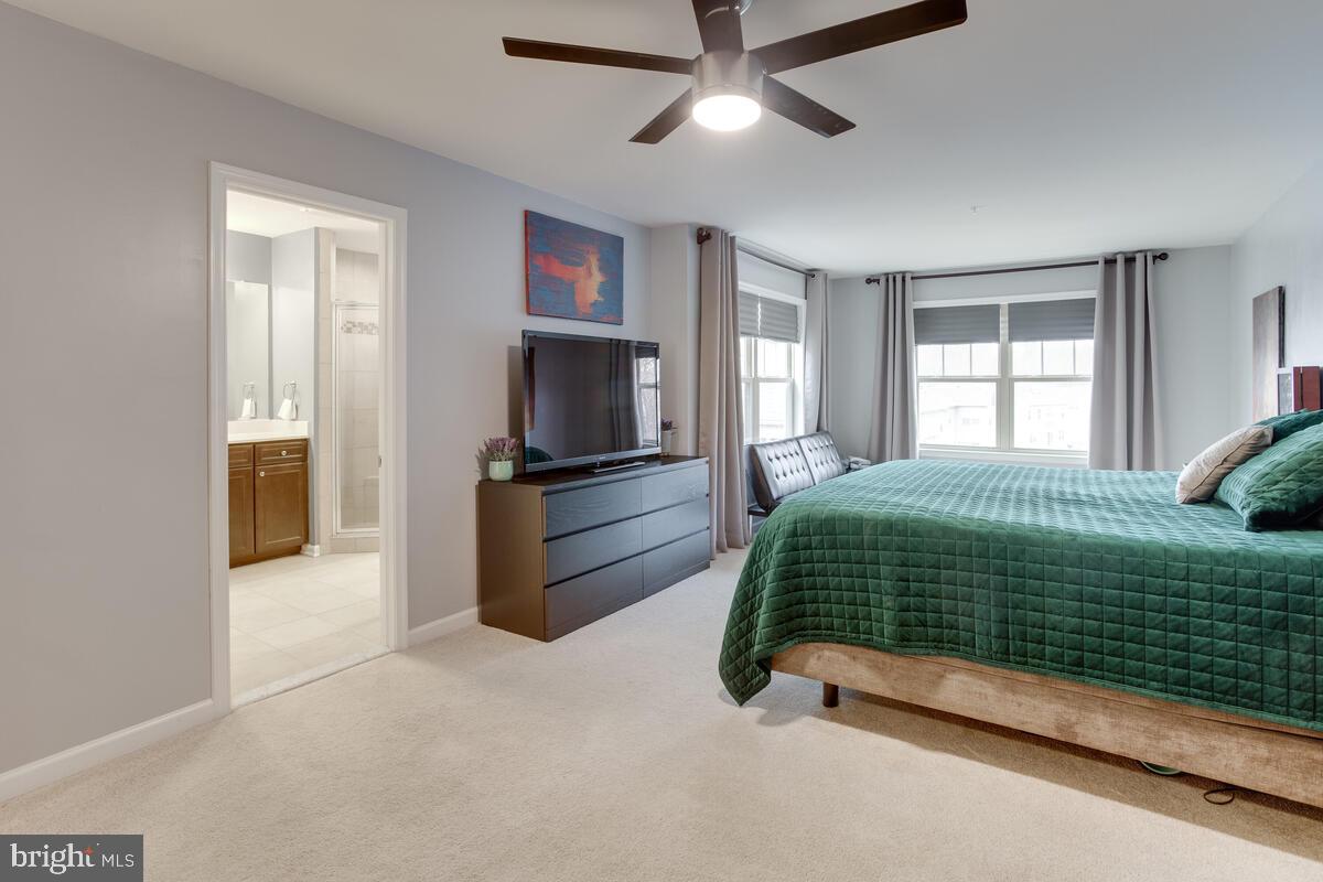 HOLLY RIDGE - Residential