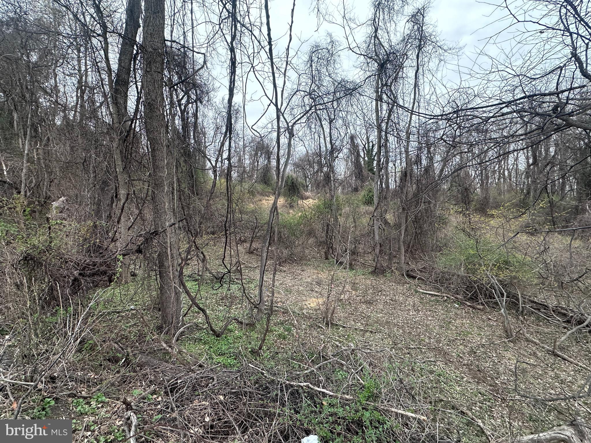 CARROLL VALLEY - Land