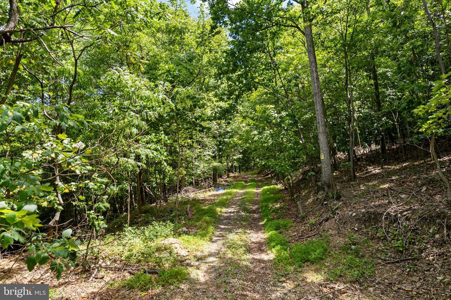 Welcome to your secluded slice of unrestricted paradise in Hedgesville, WV! Nestled amidst towering trees and enveloped by nature's tranquility, this 4.51 acre lot offers unparalleled privacy and the perfect canvas for your mountain retreat dreams.
Imagine waking up to the crisp morning air, surrounded by a dense forest that beckons adventurers and nature enthusiasts alike. Whether you envision a hunting lodge, a cozy cabin getaway, or simply a place to reconnect with nature, this property promises endless possibilities.
Abundant in foliage and wildlife, yet accessible by public road, this lot provides the perfect balance of privacy and convenience.

*Tax map has not been updated yet. Please contact listing agent with questions about location or site map.